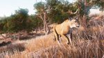 Hunting Simulator - Nintendo Switch - Image 8