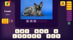 World Quiz - PlayStation 4 - Image 2